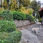 Дом отдыха Am Schluchtensteig