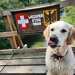 Am Schluchtensteig *